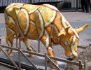 classy cow 2 800