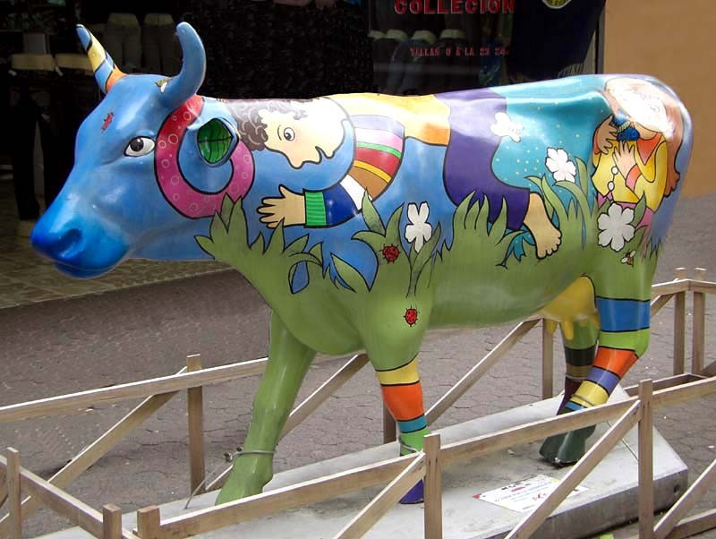 classy cow 21 800