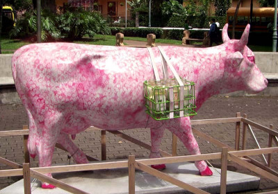 Classy Cows 31-40