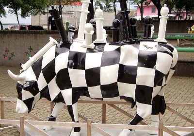 Classy Cows 51-62