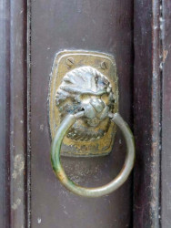 cuba lion 3 800