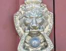 img 5130 800