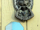 img 5518 800