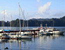 131 osa peninsula in costa rica 800