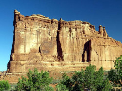 arches np 11 800
