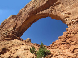 arches np 36 800
