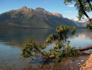 glacier np  4 8005