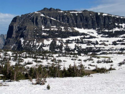 glacier np  8 800
