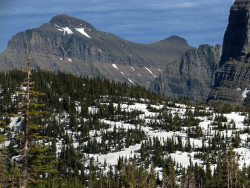 glacier np  11 800