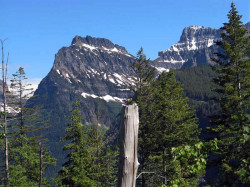 glacier np  19 800