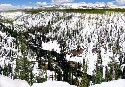 Yellowstone 1