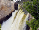 yellowstone national park   wyoming 30 800