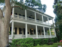 charleston 2 800