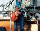elvin bishop  8  800