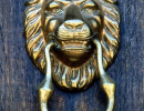 15 Polished lions head from La Paz  Bolivia 800