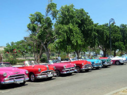 60 Year old Taxis still in Service 800